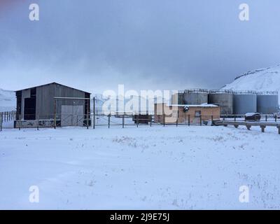 Edifici agricoli abbandonati presso l'ex insediamento minerario sovietico di Pyramiden a Svalbard. Pyramiden fu chiusa nel 1998 e fu in gran parte abbandonata. I minatori provenivano principalmente dalla regione di Donbas, nell'Ucraina orientale. Foto Stock