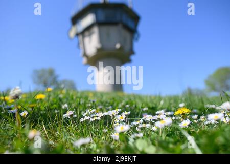 PRODUZIONE - 09 maggio 2022, Sassonia-Anhalt, Hötensleben: L'ex torre di guardia. La struttura fa ora parte del "Monumento al confine di Hötensleben". Il confine è stato chiuso proprio quando Gitta Kappe era sul lato sbagliato per lei. Il 26 maggio 1952, l'allora 20 anni era al lavoro a Schöningen nella FRG; come bambina e cameriera, era il buon spirito nella famiglia di un medico. Ha sempre percorso la sua bicicletta per i quattro chilometri alla sua città natale di Hötensleben, l'ormai 90 anni ricorda. A casa, quella era i suoi genitori e la sua fidanzata. Foto: Klaus-Dietmar Gabbert/dpa Foto Stock