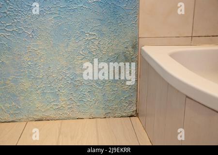 pavimento e box doccia con muffa da acqua e umidità sul muro in angolo, riparazioni in bagno, muffa e muffa sul muro nel bagno Foto Stock