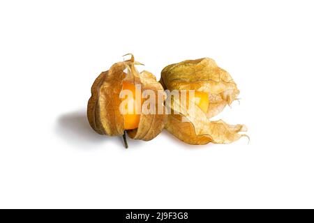 Gruppo di bacche di physalis isolate su sfondo bianco. Due frutti di physalis aranciati maturi Foto Stock