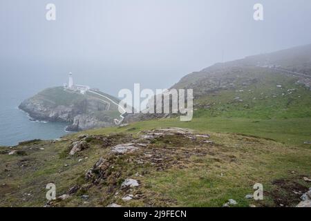 Faro di South Stack, Holy Island, Anglesey, Galles, a freddo, ventoso e nebbia primavera giorno. Foto Stock