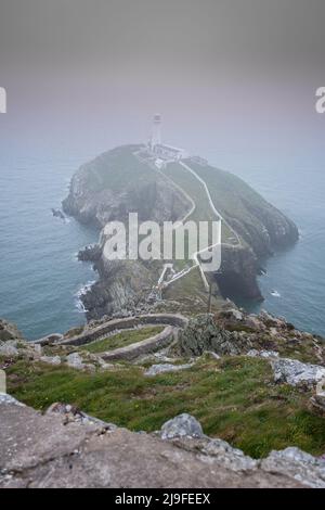 Faro di South Stack, Holy Island, Anglesey, Galles, a freddo, ventoso e nebbia primavera giorno. Foto Stock
