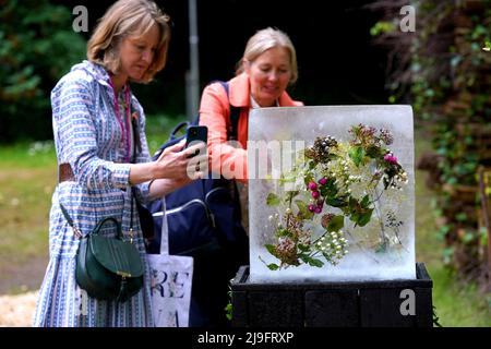 Le persone scattano foto di una mostra al Plantman's Ice Garden durante la giornata stampa del Chelsea Flower Show RHS, presso il Royal Hospital Chelsea, Londra. Data foto: Lunedì 23 maggio 2022. Foto Stock