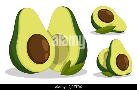 Avocado frutta intera e tagliata a metà con buca in mezzo. Frutta esotica. Vettore cartoon isolato su sfondo bianco Illustrazione Vettoriale