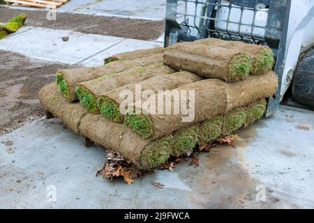 Nuovi rotoli di erba erbosa fresca pronti per essere utilizzato per il giardinaggio Foto Stock