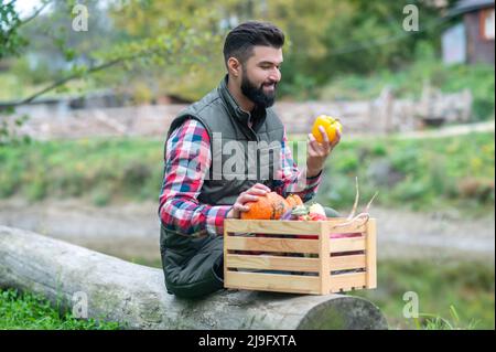 Uomo dai capelli scuri in camicia a quadri con scatola di verdure Foto Stock