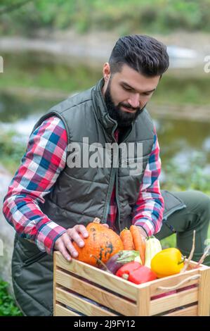 Uomo dai capelli scuri in camicia a quadri con scatola di verdure Foto Stock