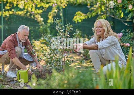 Donna che tocca uomo pianta che gocciola terra in giardino Foto Stock