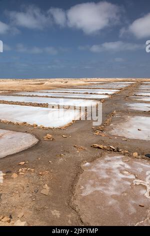 Stagni Di Sale Di Santa Maria/Salinas De Santa Maria. Un Paesaggio ...