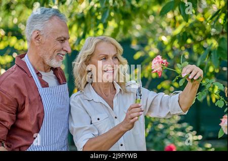 Uomo e donna che guardano rosa su cespuglio Foto Stock