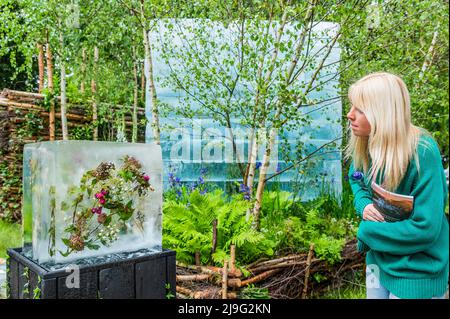 Londra, Regno Unito. 23rd maggio 2022. Il Plantman's Ice Garden disegnato da John Warland - il Chelsea Flower Show 2022. Credit: Guy Bell/Alamy Live News Foto Stock