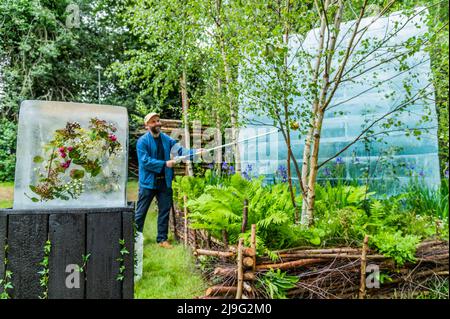 Londra, Regno Unito. 23rd maggio 2022. Il Plantman's Ice Garden disegnato da John Warland - il Chelsea Flower Show 2022. Credit: Guy Bell/Alamy Live News Foto Stock