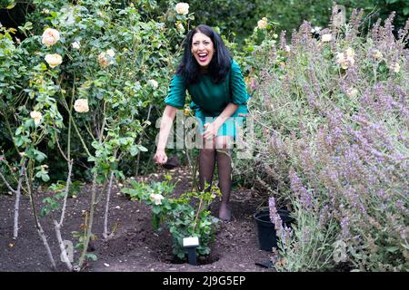 RITRASMISSIONE DELL'ORTOGRAFIA DEL NOME A JOHN YSTUMLLYN. Zehra Zaidi, fondatore della campagna We Too Built Britain, pianta un John Ystumllyn rosa nei giardini di Buckingham Palace, dopo averla presentata a Claire Midgely-Adam, il vice direttore dei giardini della regina. La rosa di John Ystumllyn è la prima rosa che prende il nome da qualcuno di una minoranza etnica nel Regno Unito. Data foto: Lunedì 23 maggio 2022. Foto Stock