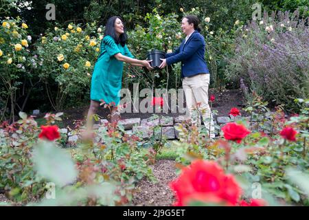 RITRASMISSIONE DELL'ORTOGRAFIA DEL NOME A JOHN YSTUMLLYN. Zehra Zaidi (a sinistra), fondatore della campagna We Too Built Britain, presenta Claire Midgely-Adam, il vice direttore dei giardini della regina, con una rosa John Ystumllyn da piantare nei giardini di Buckingham Palace. La rosa di John Ystumllyn è la prima rosa che prende il nome da qualcuno di una minoranza etnica nel Regno Unito. Data foto: Lunedì 23 maggio 2022. Foto Stock