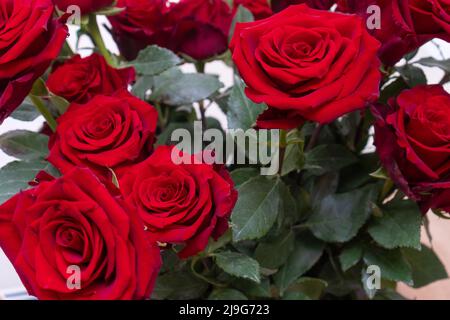 Primo piano di belle rose rosse in un negozio di fiori. Sfondo colorato e luminoso con rose rosse Foto Stock