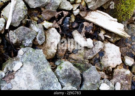 Rubble scogliera sulla costa del Mar Baltico Foto Stock