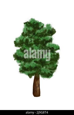 acquerello sfondo disegnato paesaggio di nebbia foresta, inverno collina. Natura selvaggia. Albero di acquerello. Foto Stock