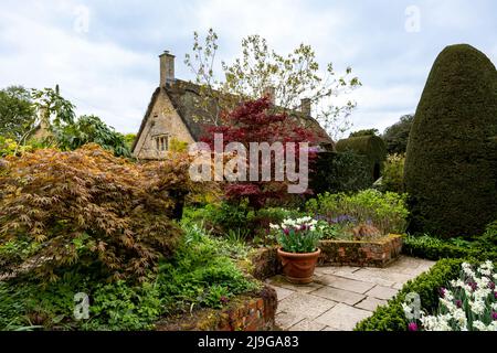 Stagione primaverile in Hidcote Manor Garden, Cotswolds, Chipping Camden, Gloucestershire, Inghilterra, Regno Unito. Foto Stock