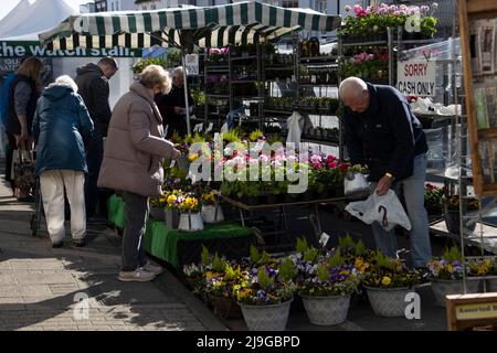 Lymington, città di mercato, splendida città di mercato georgiana nella New Forest, situata sulla costa tra Southampton e Bournemouth, Inghilterra, Regno Unito Foto Stock