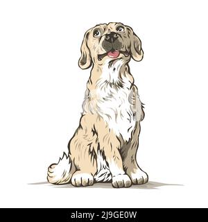 Carino cane domestico. Posizione seduta. Animali domestici simpatici. Un animale. Illustrazione vettoriale isolata su sfondo bianco. Stile disegnato a mano Illustrazione Vettoriale