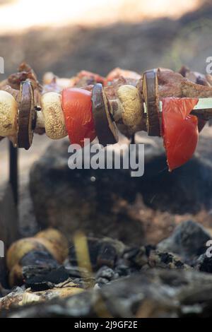 funghi fritti e pomodori con melanzane su spiedini sul fuoco nella foresta, verdure fritte sul fuoco, shashlik vegetale Foto Stock