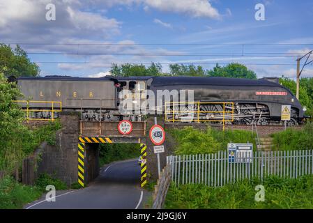 Heritage restaurato A4 Pacific locomotiva a vapore Sir Nigel Gresley durante il suo primo tour ferroviario dopo la revisione visto in direzione sud da Carlisle di ritorno a Crewe Foto Stock