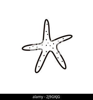 Carino stelle marine isolato su sfondo bianco. Illustrazione vettoriale disegnata a mano in stile doodle. Perfetto per disegni estivi, carte, logo, decorazioni. Illustrazione Vettoriale