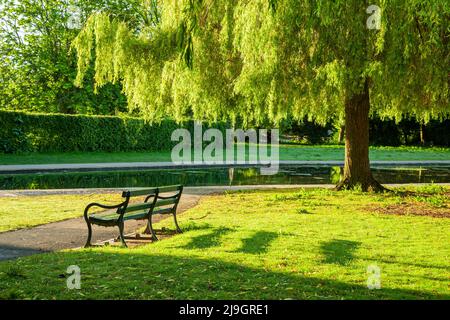 Mattina di primavera al Rowntree Park di York, Inghilterra. Foto Stock