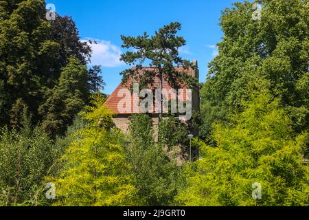 Dortmund, Renania settentrionale-Vestfalia, Germania - Rombergpark. Romberg Gate House nel giardino botanico Romberg Park. Foto Stock