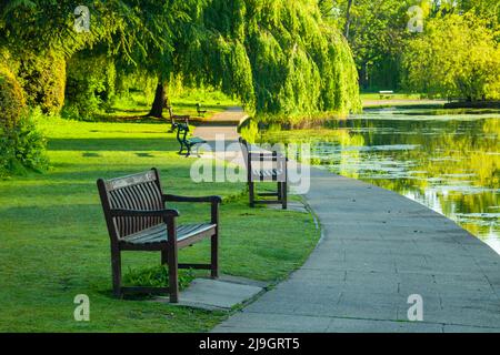 Mattina di primavera a Rowntree Park, York, Inghilterra. Foto Stock