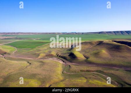Vista aerea di uno spettacolare paesaggio del parco nazionale vashlovani nella parte sud-orientale della Georgia, verdi colline, paesaggio simile a steppe, Georgia Foto Stock