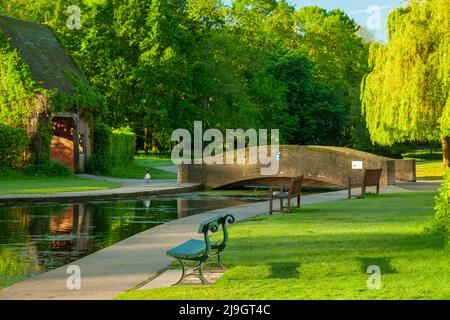 Mattina di primavera al Rowntree Park di York, Inghilterra. Foto Stock