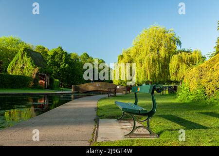 Mattina di primavera a Rowntree Park, York, Inghilterra. Foto Stock