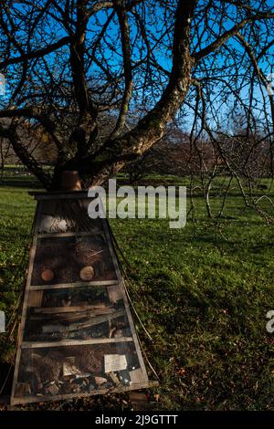 Tallinn Botanic Garden, un giardino botanico a Tallinn, Estonia Foto Stock