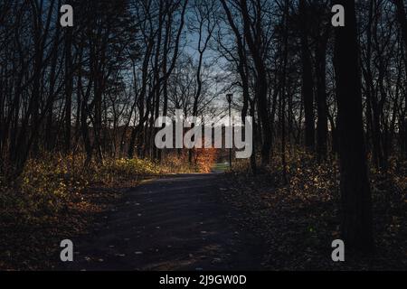 Tallinn Botanic Garden, un giardino botanico a Tallinn, Estonia Foto Stock