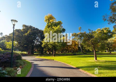 Treasury Gardens a East Melbourne Victoria Australia Foto Stock