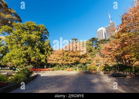 Treasury Gardens a East Melbourne Victoria Australia Foto Stock