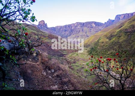 Una gola isolata all'interno delle montagne Drakensberg del Sud Africa, con le scogliere scoscese che si innalzano sullo sfondo Foto Stock