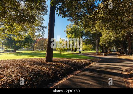 Treasury Gardens a East Melbourne Victoria Australia Foto Stock