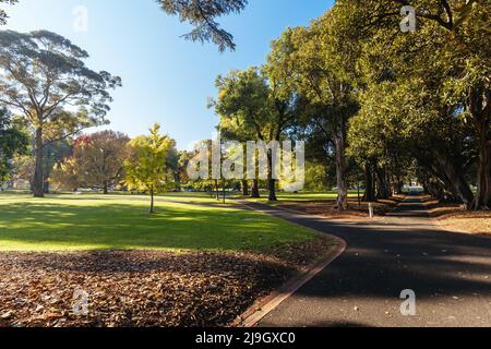 Treasury Gardens a East Melbourne Victoria Australia Foto Stock