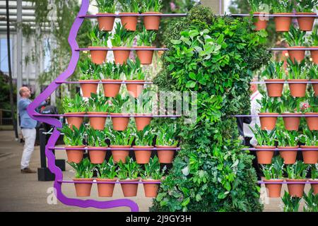 Chelsea, Londra, Regno Unito. 23rd maggio 2022. Ritratto scultoreo floreale della Regina di Simon Lycett. RHS Chelsea Flower Show, commemora il Giubileo del platino della Regina con tributi floreali quest'anno. Chelsea Flower Show Press Day presenta in anteprima lo spettacolo che ritorna al Royal Hospital Chelsea e quest'anno si svolge dal 24 al 28 maggio. Credit: Imagplotter/Alamy Live News Foto Stock