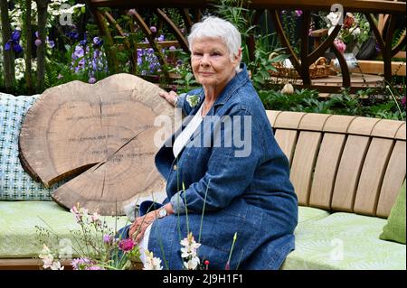 Londra, Regno Unito. 23rd maggio 2022. L'attrice inglese Dame Judi Dench ha partecipato al RHS Chelsea Flower Show per lanciare la nuova campagna del Woodland Heritage, Royal Hospital, Chelsea. Foto Stock