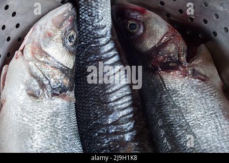 Primo piano della pelle e delle teste di tre pezzi di nasello pulito e fresco su un filtro in metallo microforato. Mercato alimentare e salute. Foto Stock