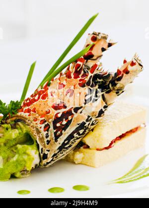 Gratine di aragosta su uno strato di polenta morbida e rosella con un porro buerre blanc, Kayumanis Ubud, Bali, Indonesia. Foto Stock