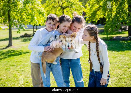 Bambini che accarezzano un cane. I bambini adolescenti giocano con un cucciolo di corgi su un prato verde in una giornata di sole. Foto Stock