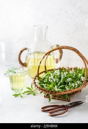 Cestino con piante di fiori di legnaio appena raccolte per la preparazione di limonata o sciroppo. Foto Stock