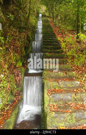 Cascata artificiale della Levada do furado a Ribeiro Frio sull'isola di Madeira, Portogallo. Esposizione prolungata del sistema storico di approvvigionamento idrico attivo con g Foto Stock