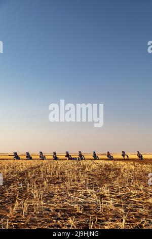 Conway, Texas - Cadillac Ranch, dove 10 Cadillac sono parzialmente sepolti in un campo di fattoria. Dal momento che le automobili sono state installate nel 1974, è diventata una popula Foto Stock