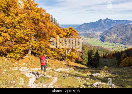 Germania, Baviera, escursionista femmina ammirando la vista sulla strada per il monte Geigelstein Foto Stock