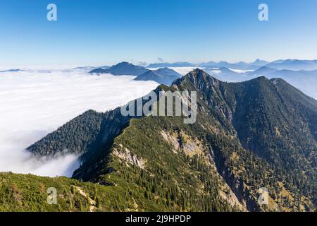 Germania, Baviera, vista del lago di Kochel avvolta in fitta nebbia estiva Foto Stock